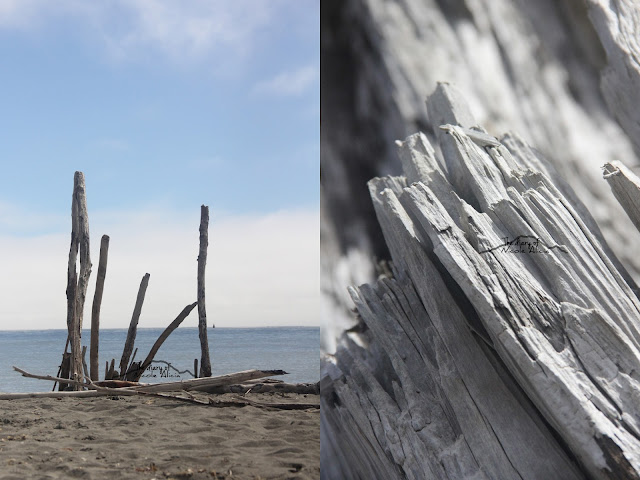 La Push, Washington