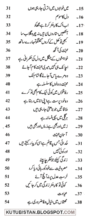 contents of Mohabbat Ho Na Jaye