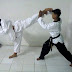 Aplikasi Gerakan Jurus di Taekwondo