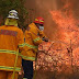 Officials begin inquiry into Australian bush fire