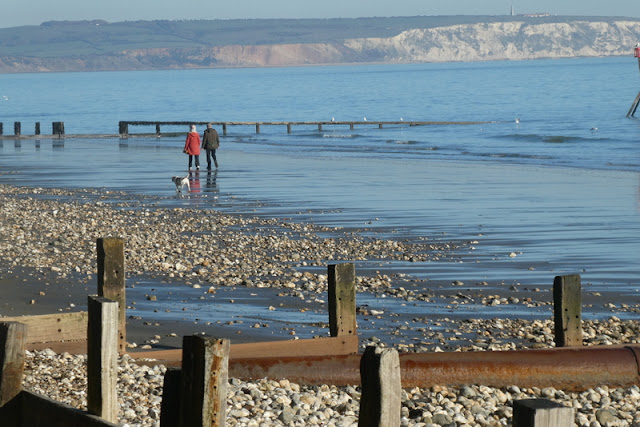 Two people walking dog on Shanklin Beach