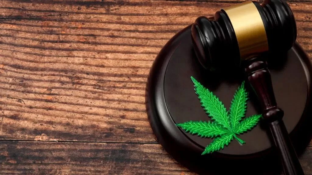 legalizacion-de-la-marihuana