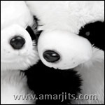 pandasvar_alt1