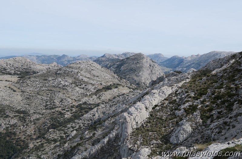 Sierra de los Pinos por las Pulgas