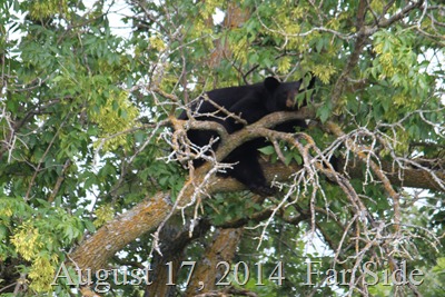 IMG_1043 (2)