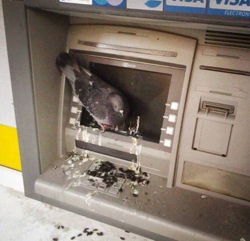 Time to find another ATM