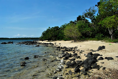 Bama Beach; Beach Million Dreams Charm