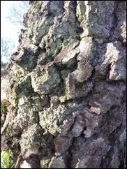 P2110301