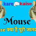 Mouse क्या होता है ! Mouse की पूरी जानकारी.