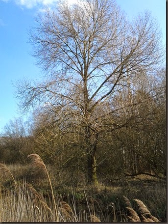20150308_133905