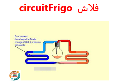 فلاش  circuitFrigo