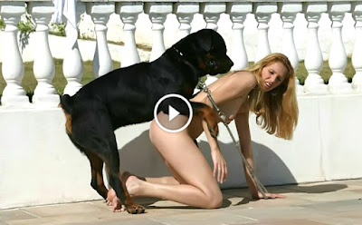 http://animalpornvideos.blogspot.com/