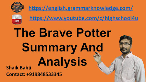 The Brave Potter Summary