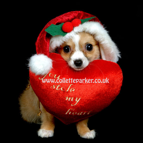 wallpapers heart. Christmas Hearts Wallpaper