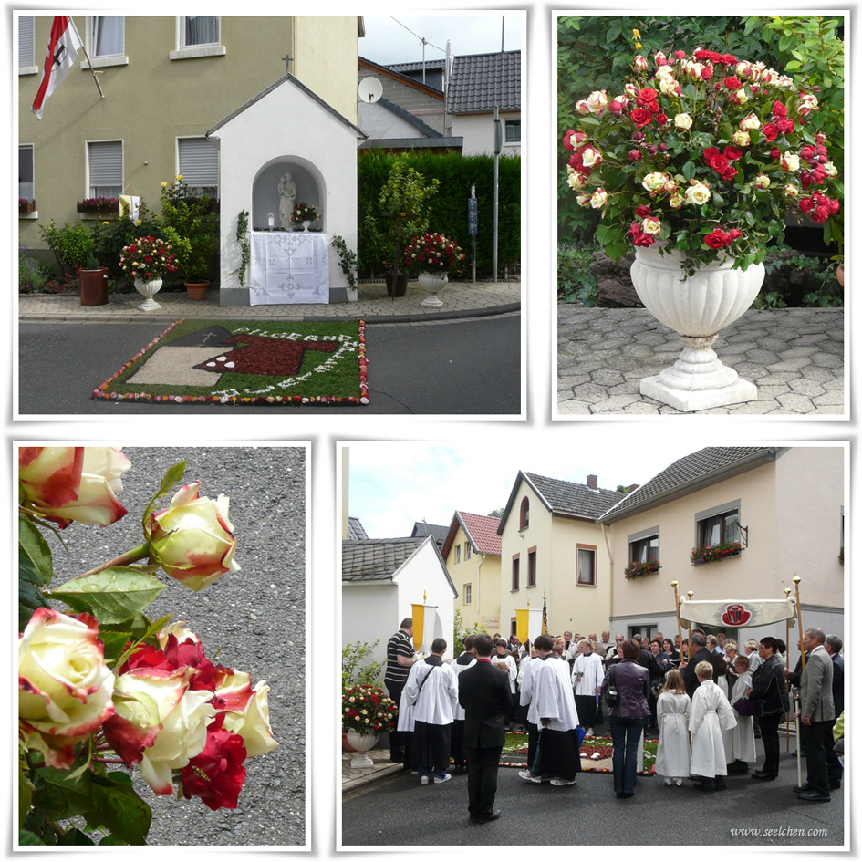 gedichte zum geburtstag mit blumen