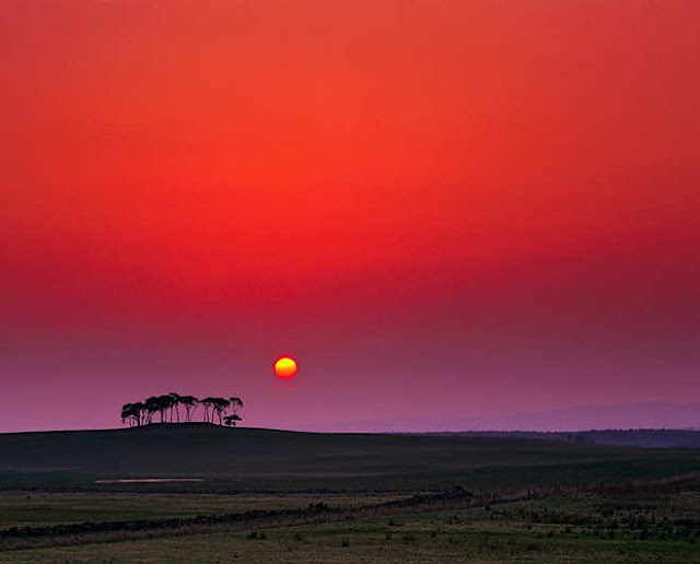 Amazing Shots Of Nature By Ian Cameron