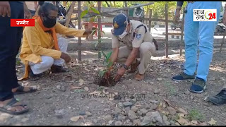 भारतीय ज्ञानपीठ स्ट्रीट पार्किंग मैं वृक्षारोपण का कार्यक्रम किया गया