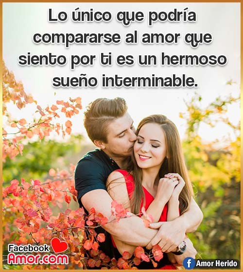 frases hermosas para amor