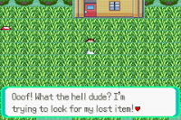 Pokemon Terra Screenshot 02