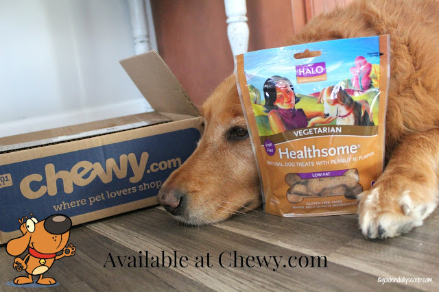 healthy vegetarian dog biscuits available at Chewy