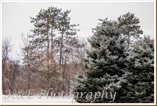 JANUARY 2015 (13 of 39)