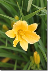 085