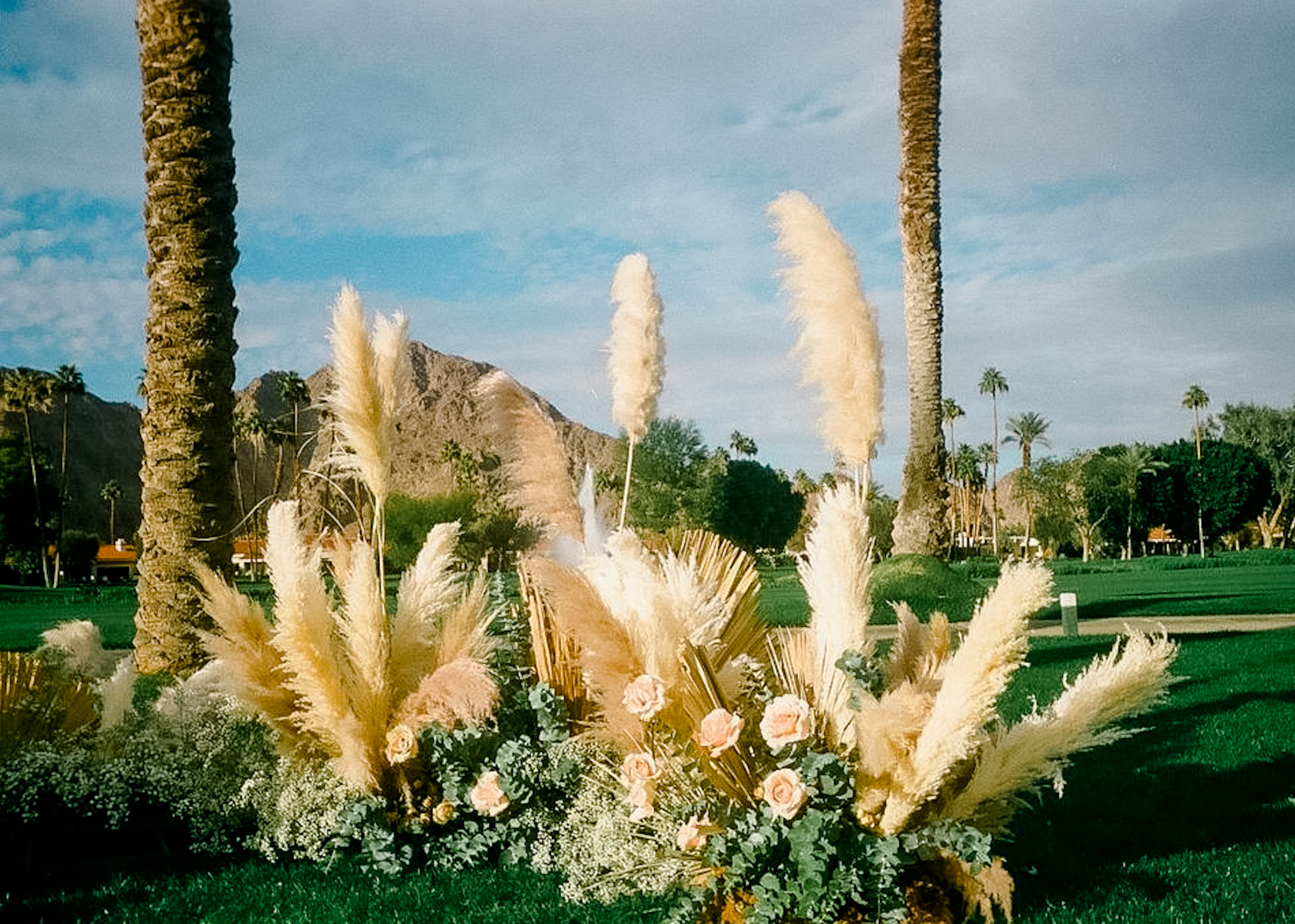 Boho Film photography in Palm Springs, Ca