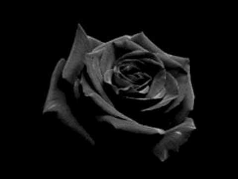 The black rose's quality of