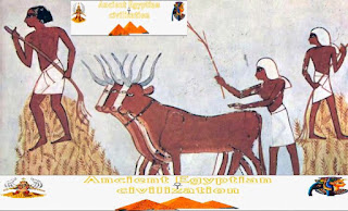 Agriculture in ancient Egypt and the importance of agriculture in ancient Egypt