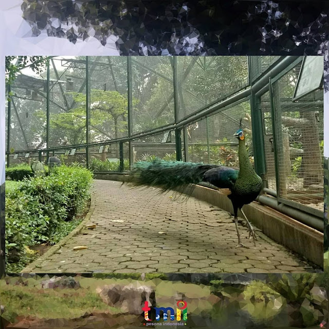 Keindahan Taman Mini Indonesia Indah: Tempat Wisata Seru yang Wajib Dikunjungi Bersama Keluarga