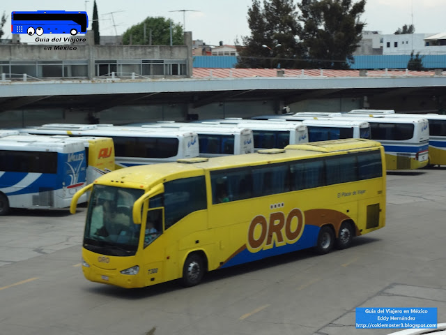 Autobuses Oro