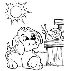 20 little dog coloring pages! Ideas in 2021 | Coloring pages, coloring books