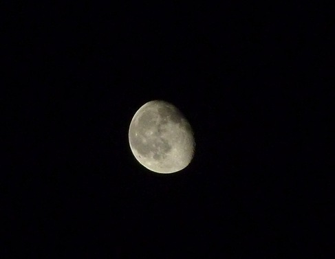 P1000862