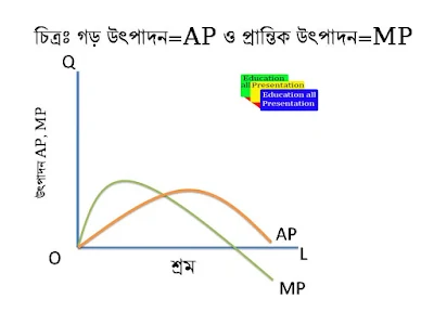 গড় উৎপাদন, প্রান্তিক উৎপাদন