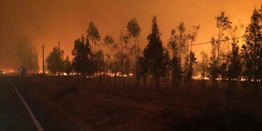  Ministro de Agricultura por incendios: “Perseguiremos a cualquier sospechoso para aplicar el máximo rigor de la ley”