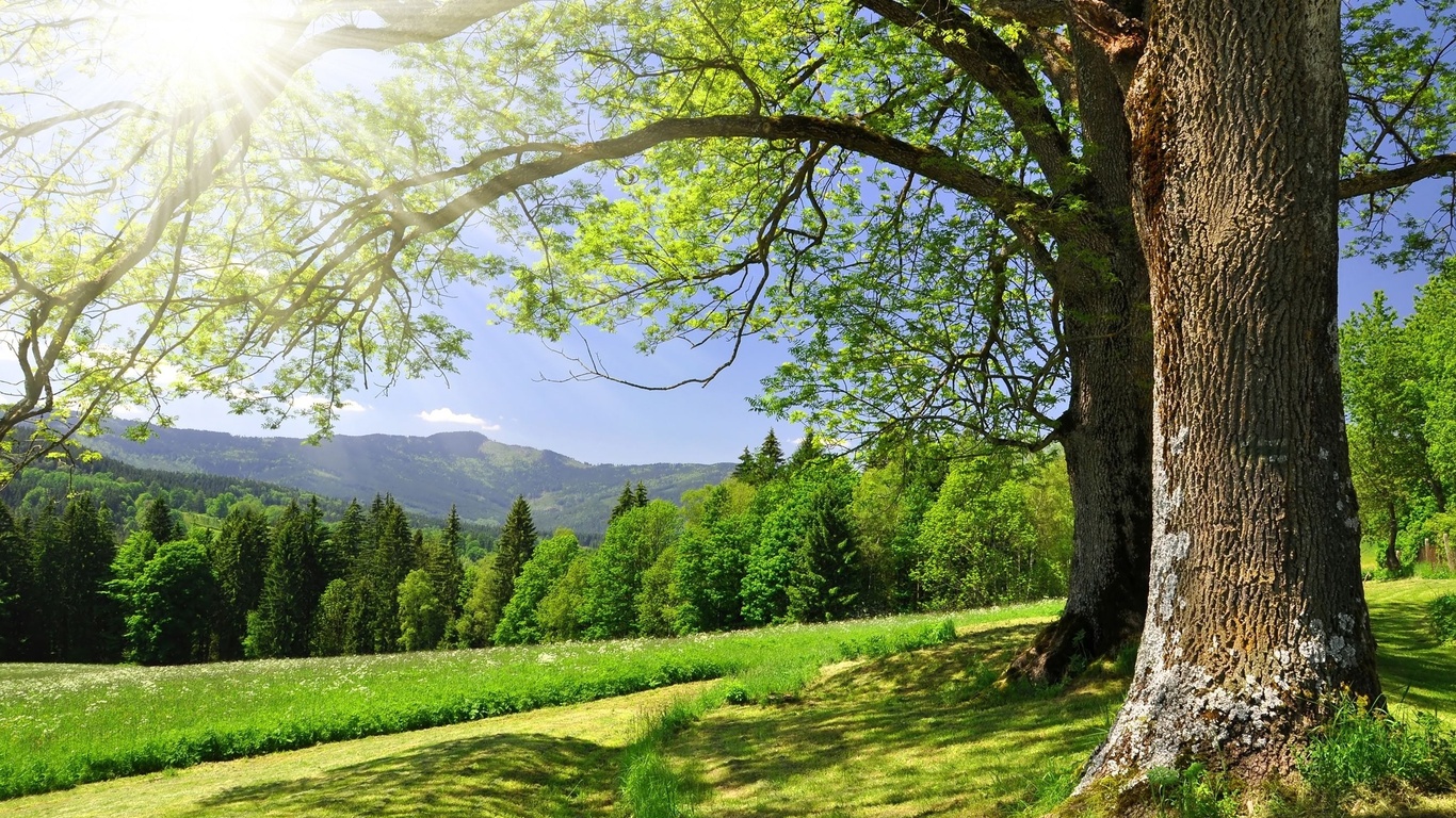 La naturaleza es parte de nuestra vida