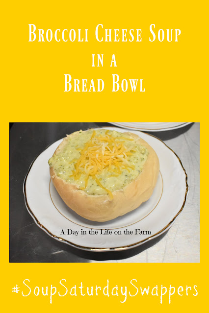 Broccoli Cheese Soup in a Bread Bowl