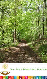 Découvrez une présentation détaillée du Programme International des Arbres de Paix et des ODD