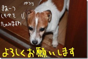 今日カズ０９１２０１　３