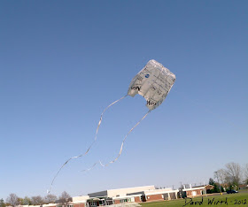 flying my tyvek kite, make, made, tyvek, house wrap