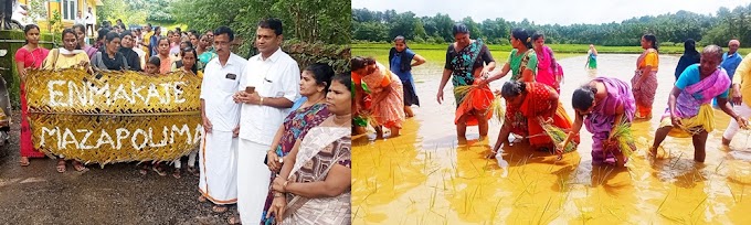             ಪೆರ್ಲ ಬಯಲಿನಲ್ಲಿ ಎಣ್ಮಕಜೆ ಕುಟುಂಬಶ್ರೀ "ವರ್ಷ ಋತು ಸಂಭ್ರಮ"ಯಶಸ್ವಿ  ಕಾರ್ಯಕ್ರಮ