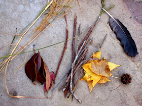 collect items on a nature walk