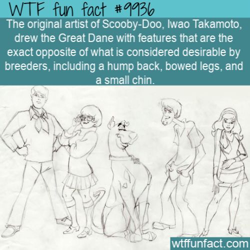 Amazing Weird And Interesting Random Facts