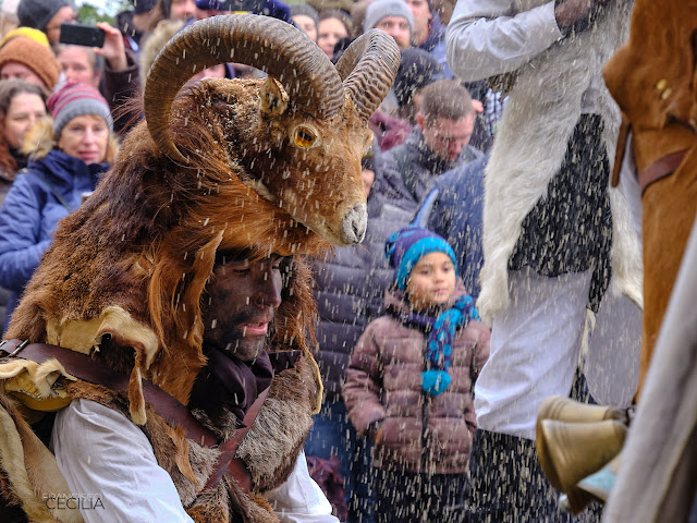 Mascara kukeri Carnaval