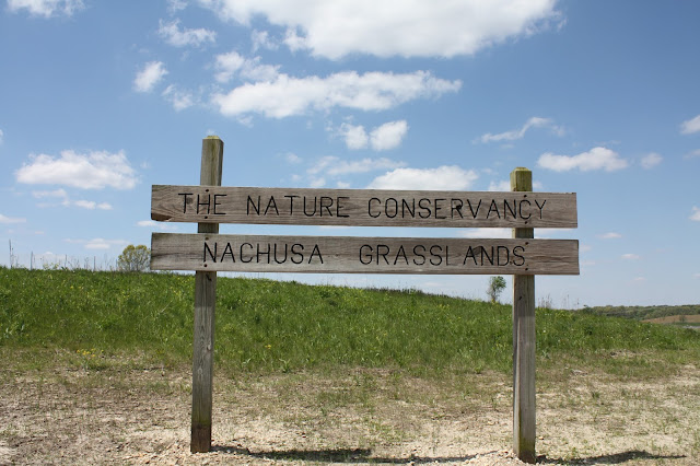 The Nature Conservancy's Nachusa Grasslands