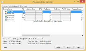 Process Activity Summary