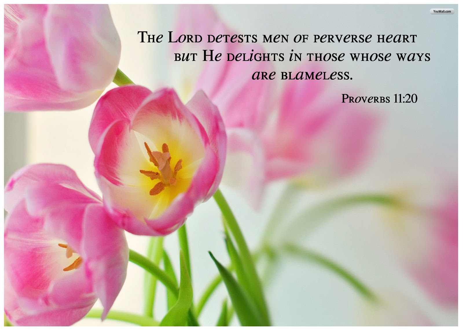 Book of Proverbs Wallpapers (3) | This Is Me
