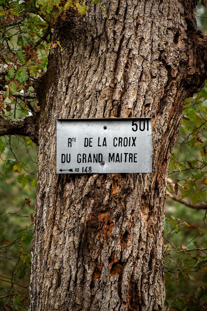 Croix du Grand Maître, forêt de Fontainebleau