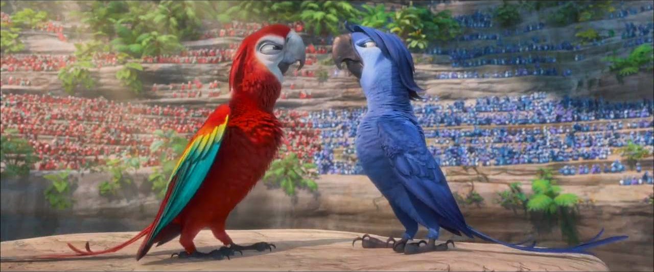 My Interest Rio 2 My Interest Rio 2