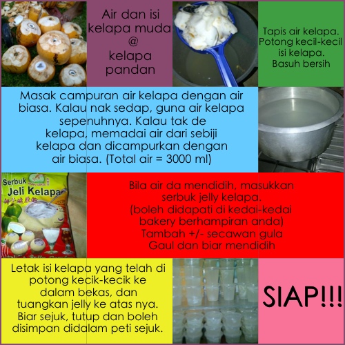MUMMY TO DANIA, ALISYA & ERYNA ::: :: RESEPI JELLY KELAPA